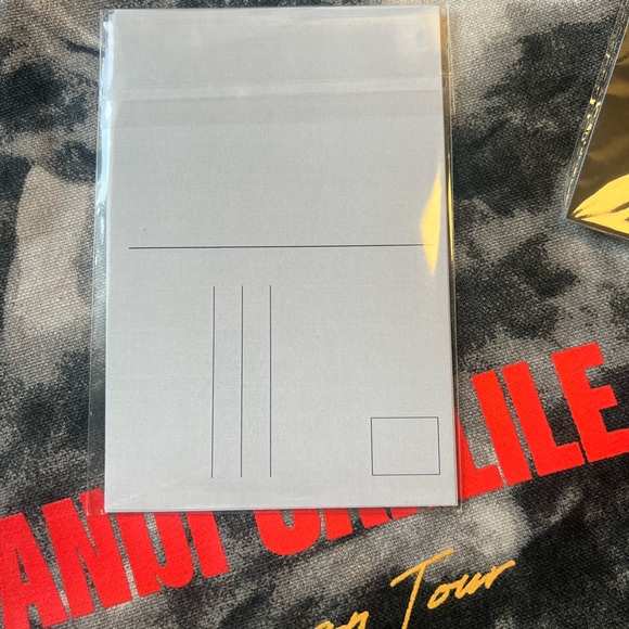 Brandi Carlile Tour Merchandise Set - Picture 4 of 5